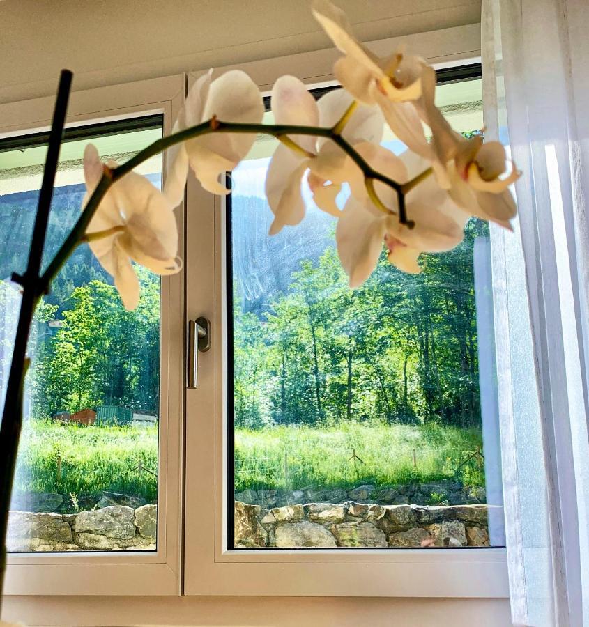 Bueelbad - Relax Holiday Apartment Кандерштег Экстерьер фото